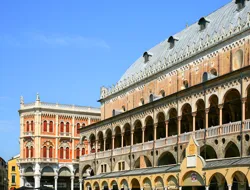 Guided Walking Tour of Padua and Coffee Time at Caffè Pedrocchi